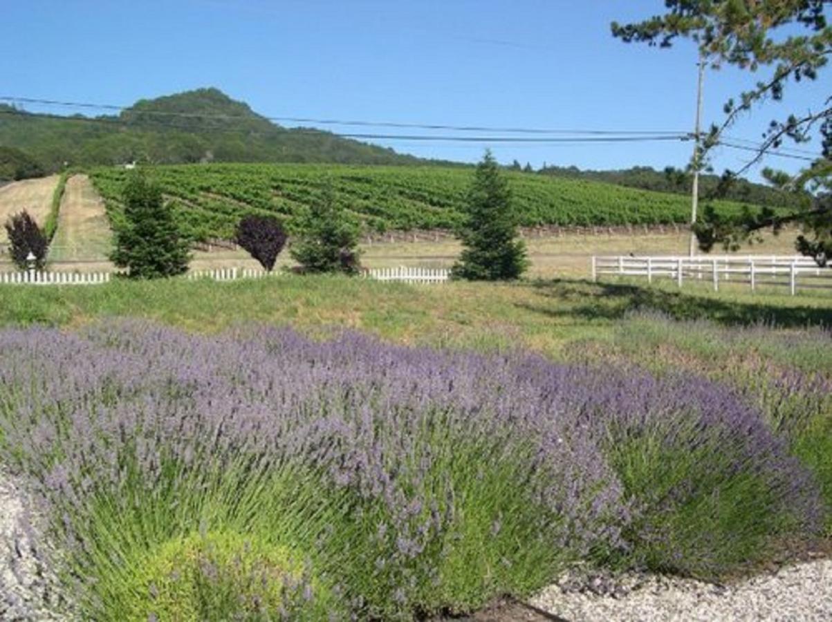 The Gables Wine Country Inn Santa Rosa Exteriér fotografie
